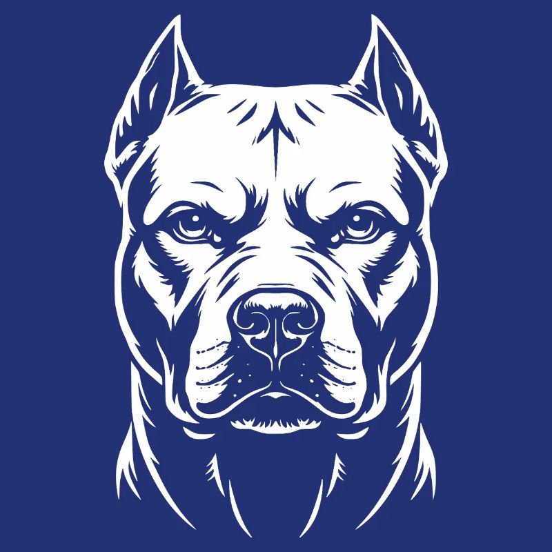 Pitbull Kopf 