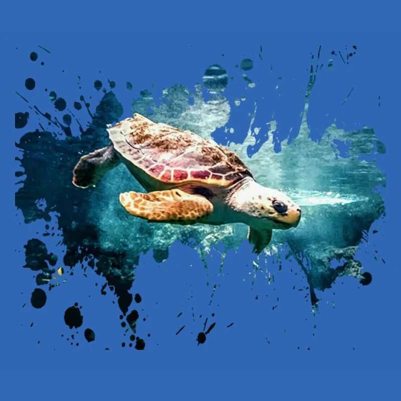 Turtle splash