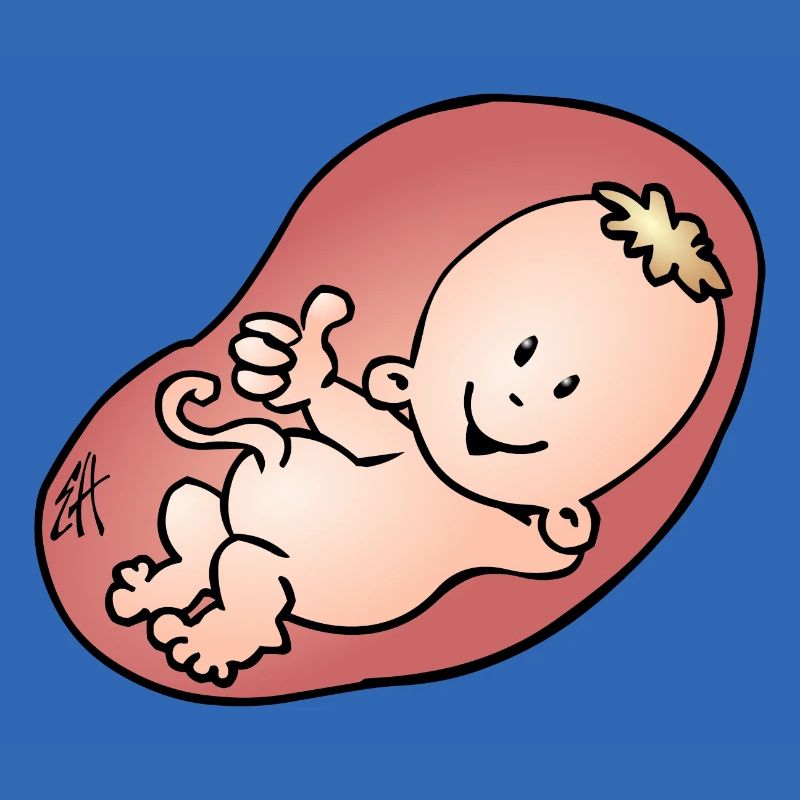 Enceinte - grossesse