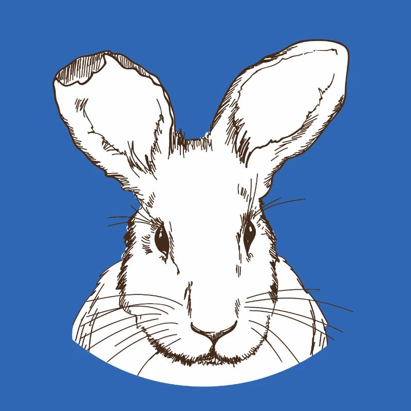 Lapin
