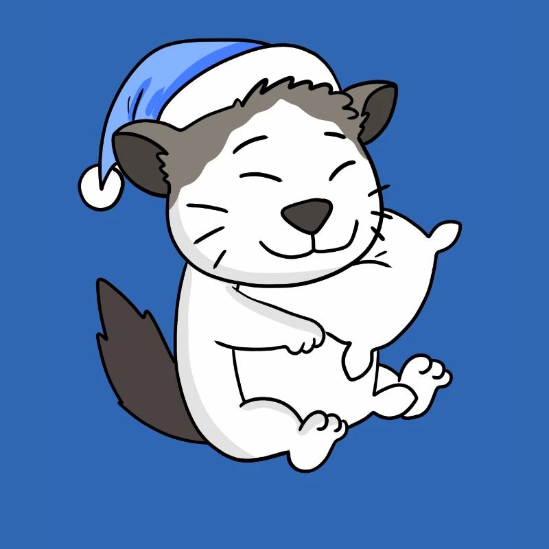 Chat race Ragdoll