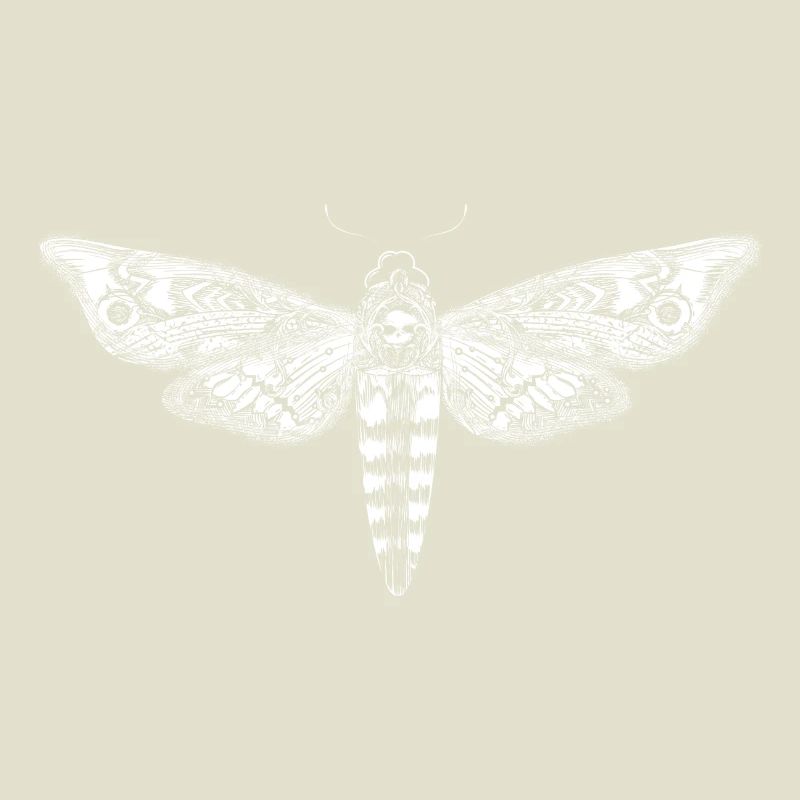 Dessin d'un essaim de crâne blanc