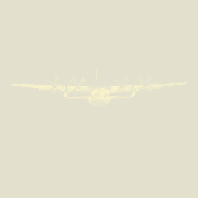 C-130 Hercules