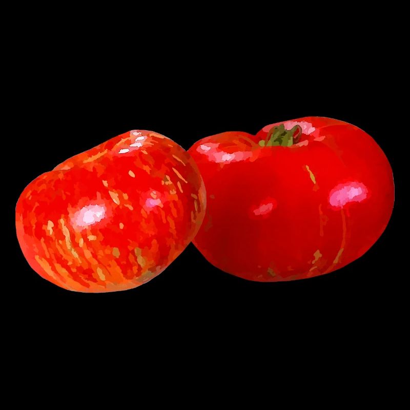 Fleischtomaten, gemüsevegetarier, küche