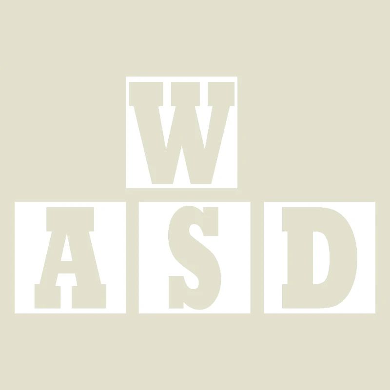 W A S D