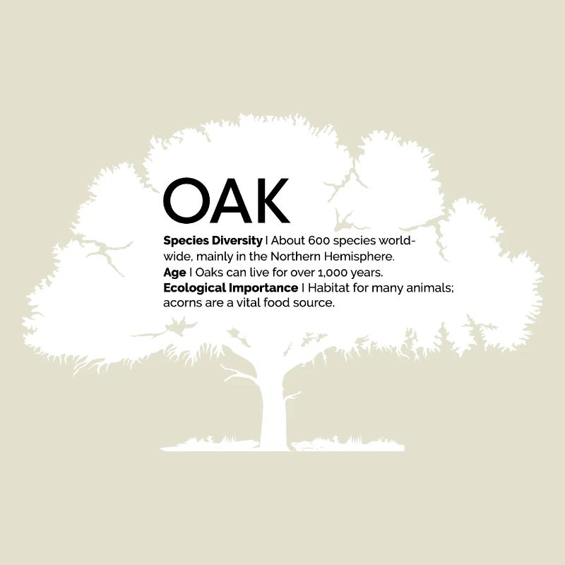 OAK Eichen mit Informationen Naturschutz Baum Wald