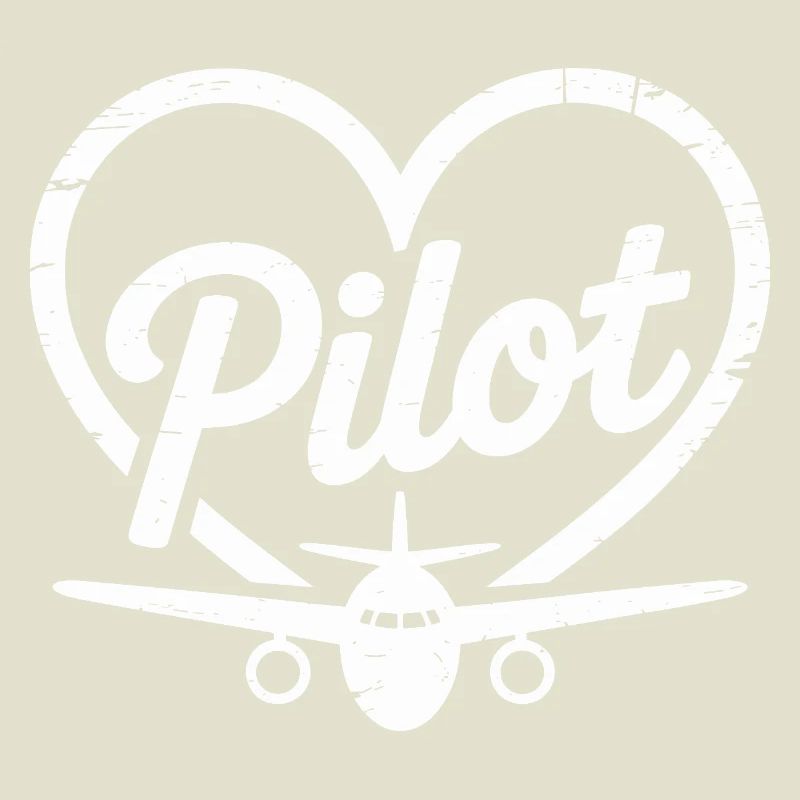 Conception d’un avion pilote