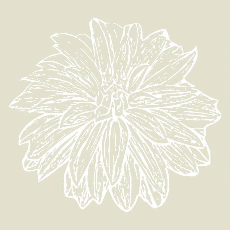 Fleur, Blanc, Fleur Blanche