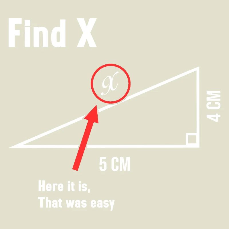 Find X Math Lover Mathematician Math Teacher