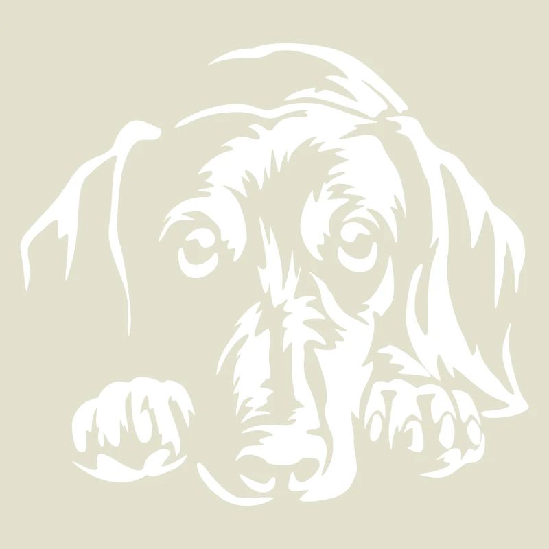 Dachshund "Black Edition"