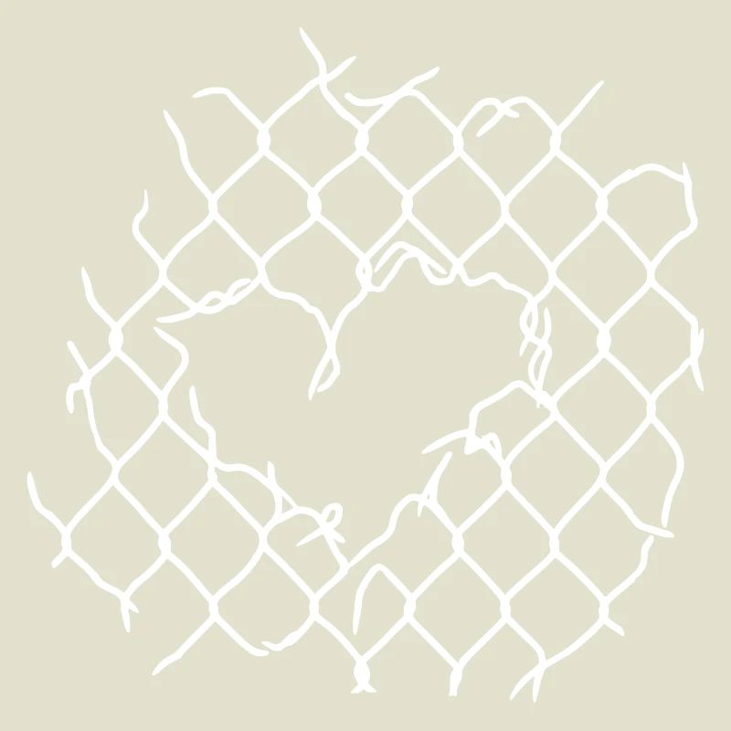 Wire Mesh Heart