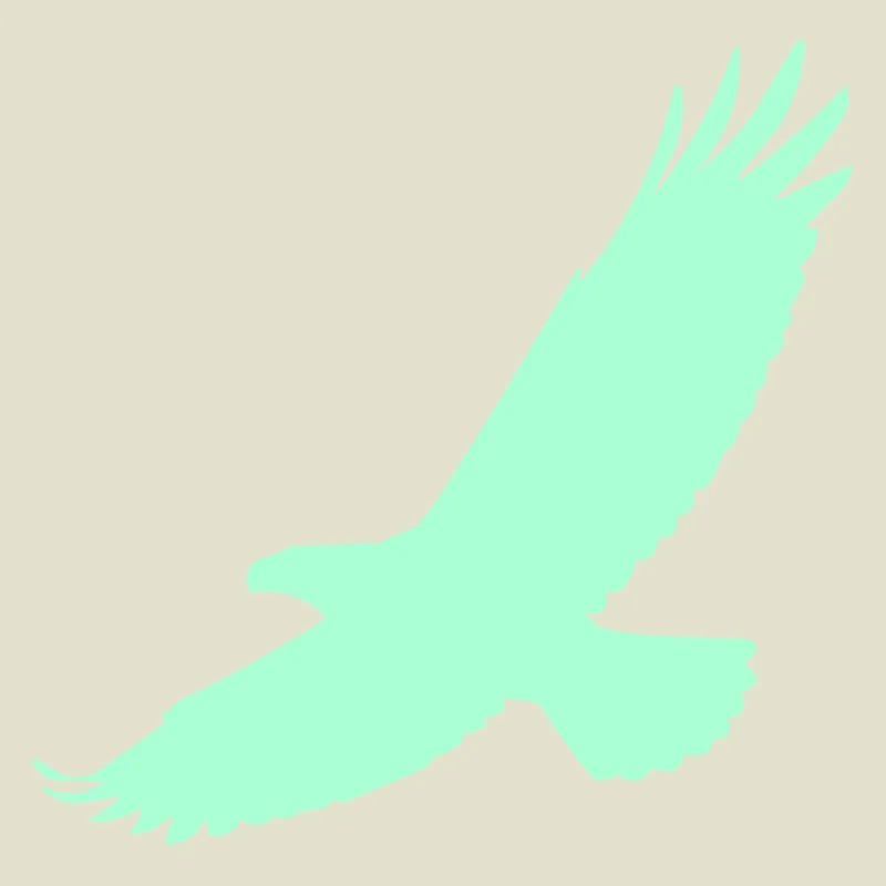 Falcon in flight