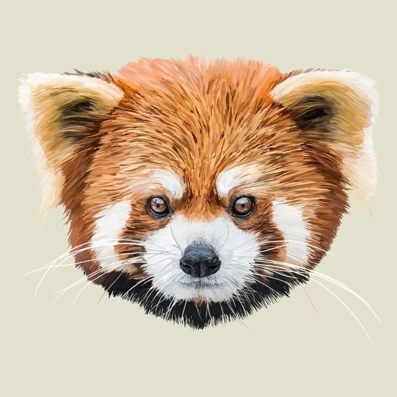 Red panda