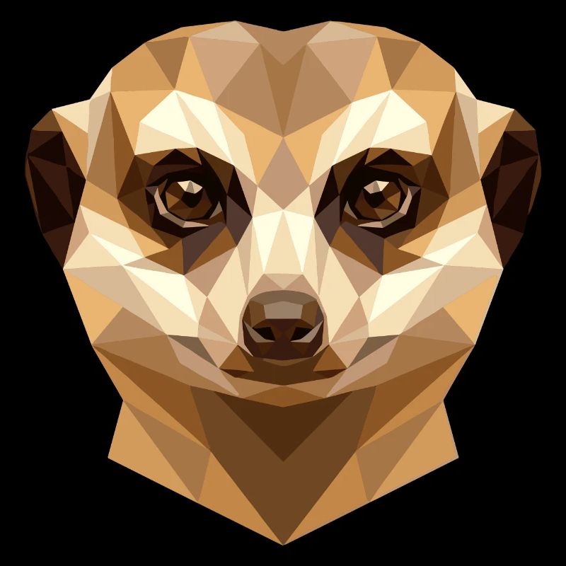 Suricate Suricate Douce Mangouste Suricate