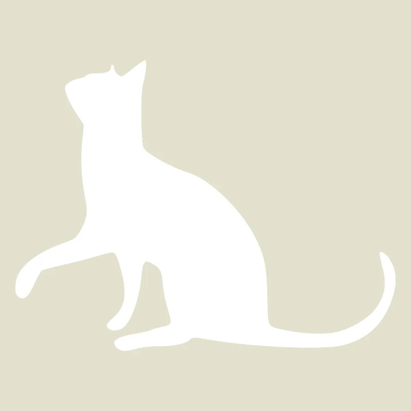 Chat chat chat chat chatte minette minou minou patte
