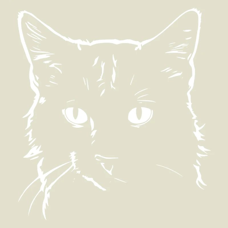 Chat 4