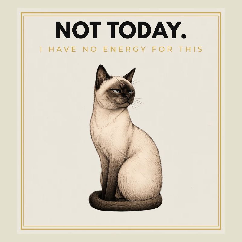 PAS AUJOURD’HUI. Noble Cat Introverti Conception du Mème