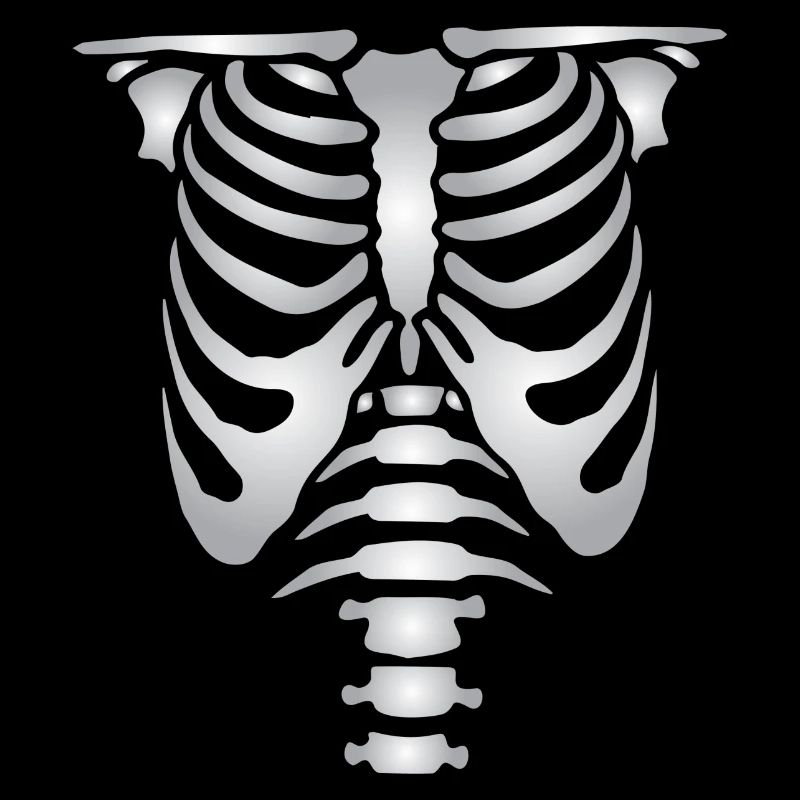Human skeleton bones torso
