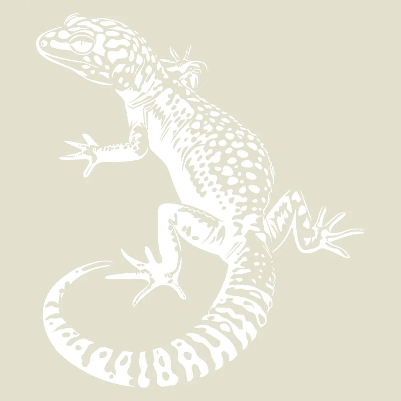 Gecko Leopardgecko Kontrast