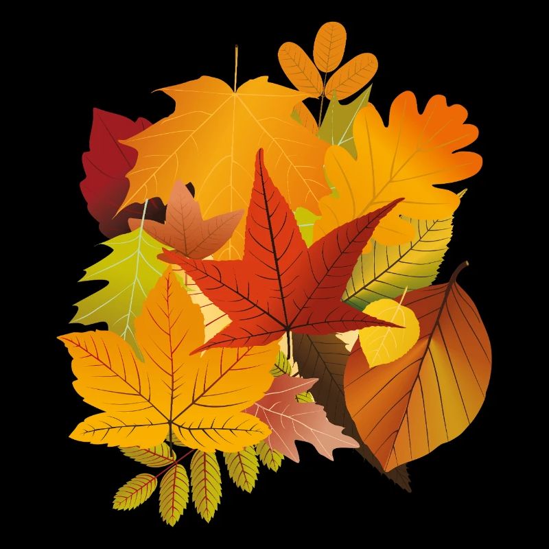 Herbstlaub