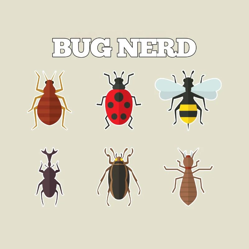 Bug Nerd