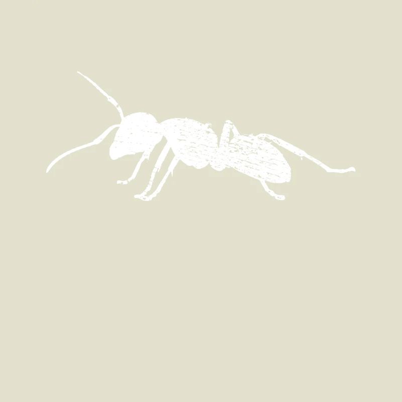 Ant
