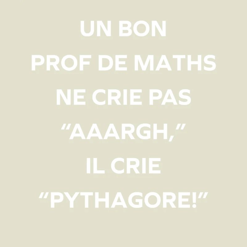 Prof de maths crie Pythagore