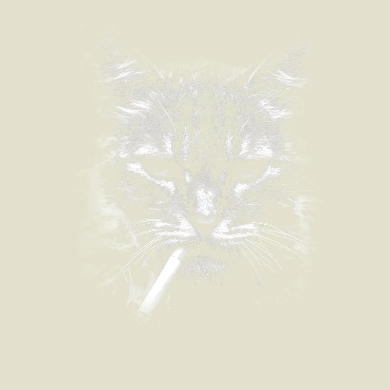 Rauchen, Zigarette, Katze raucht eine Zigarette