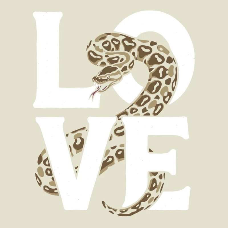 Königspython Schlangen LOVE Terrarium Python