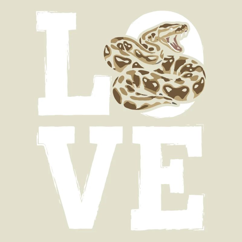 Königspython Schlangen LOVE Terrarium Python