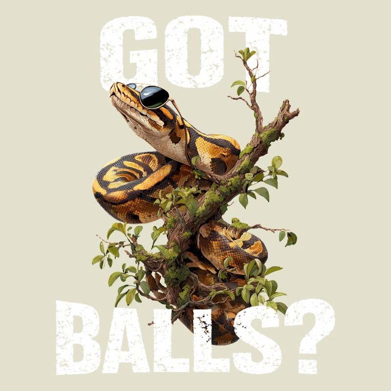 Python roi Serpents Amateurs de terrarium Python