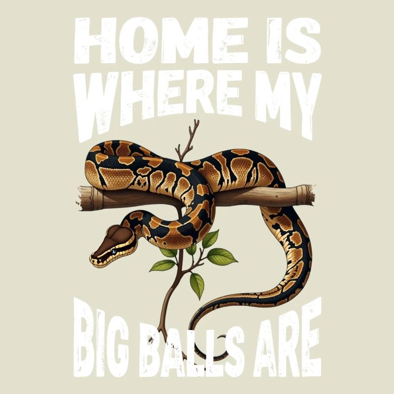 Königspython Schlangen Liebhaber Terrarium Python