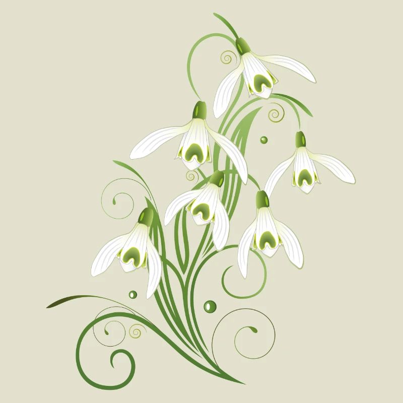 Snowdrops Flowers. Spring is coming.