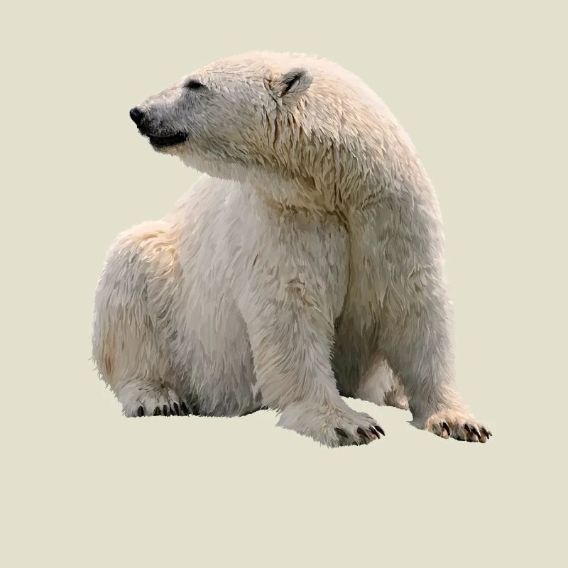 polar bear