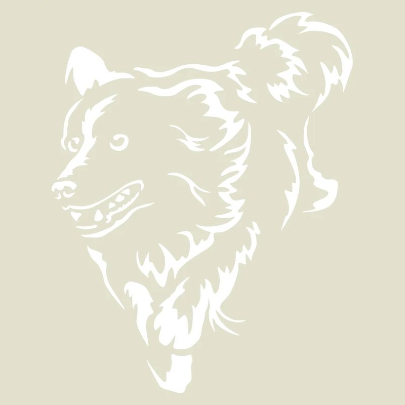Border Collie "Black Edition"