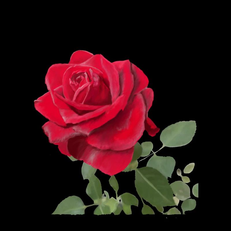 Rote Rose