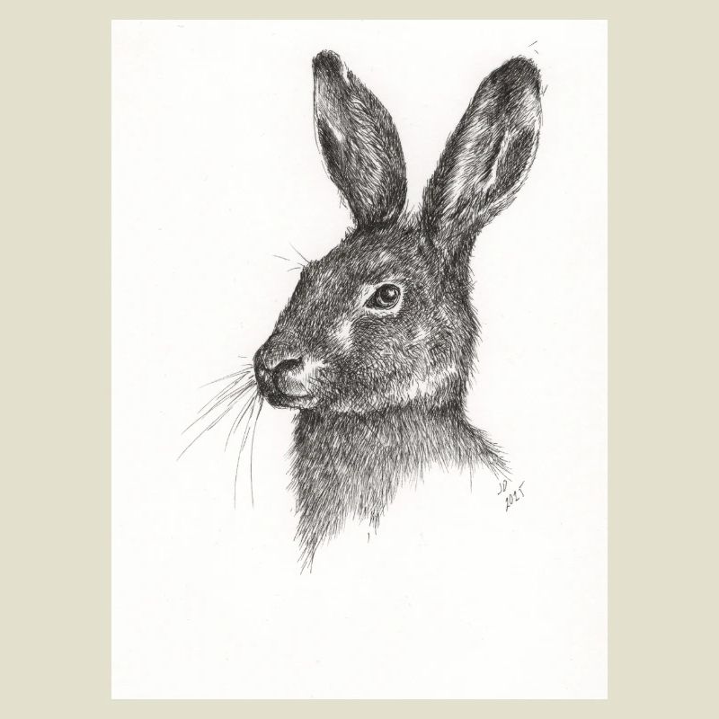 Not just another Rabbit