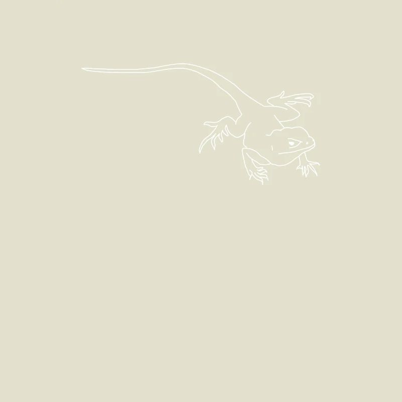 lézard