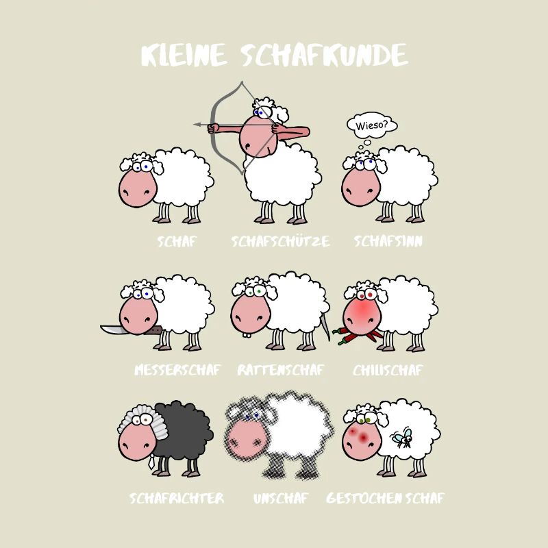 A little sheep knowledge