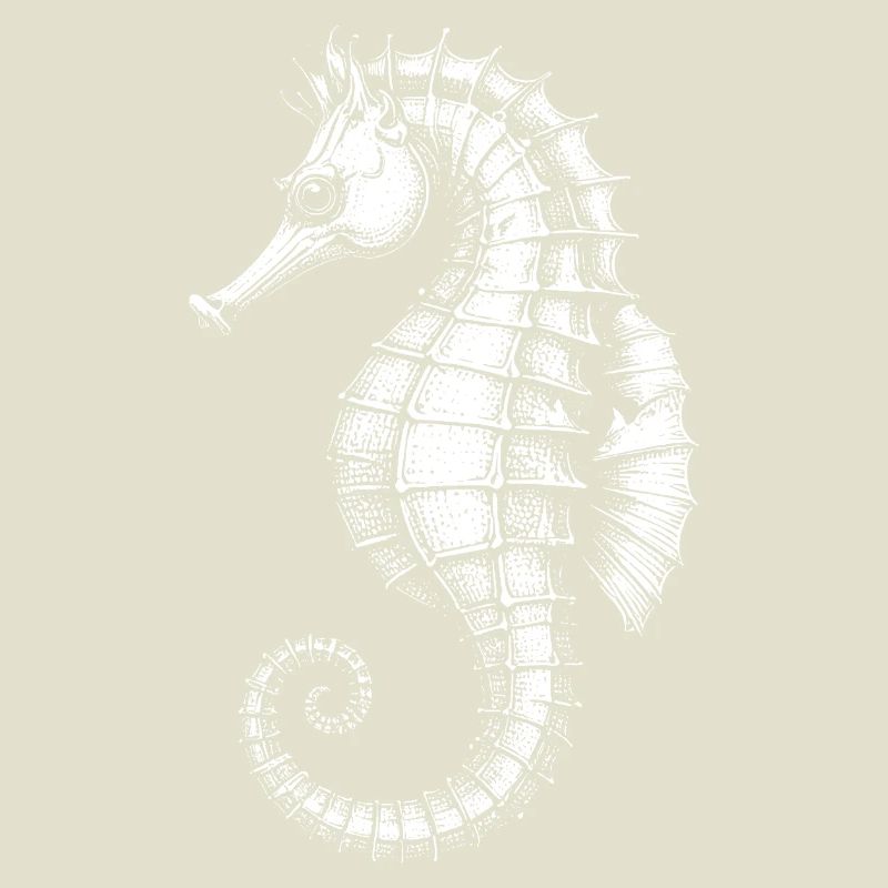 Hippocampe