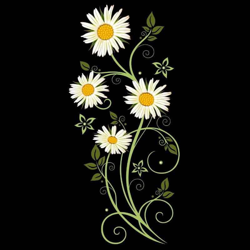 Filigrane Ranke mit Margeriten
