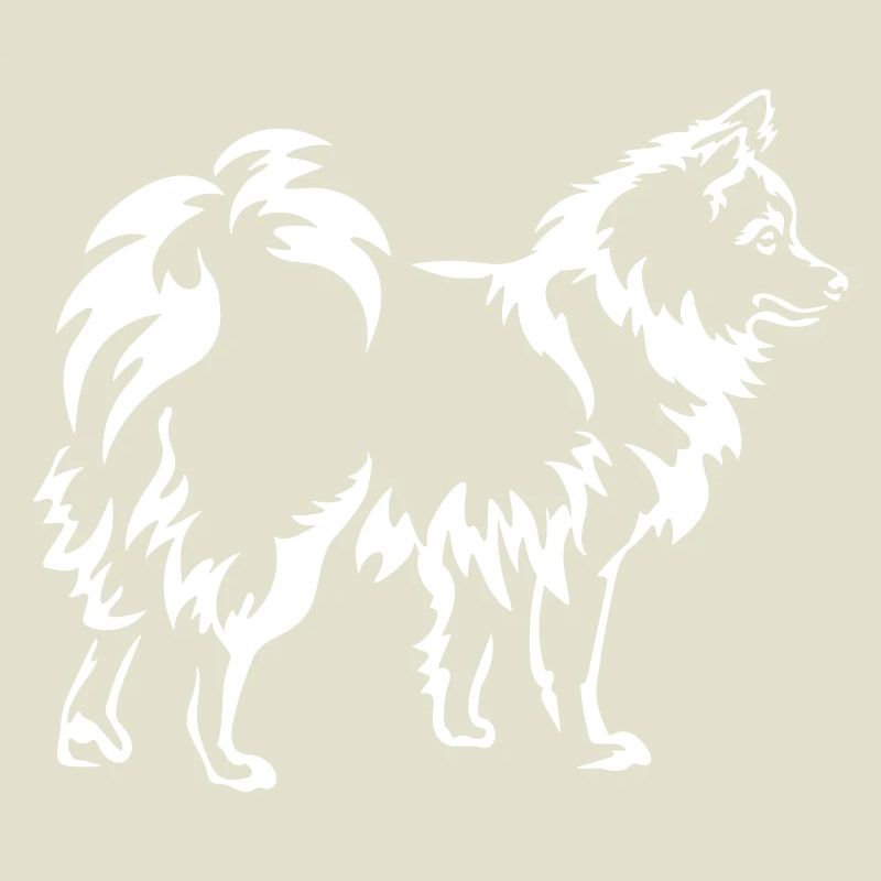 Spitz « Édition Noire »
