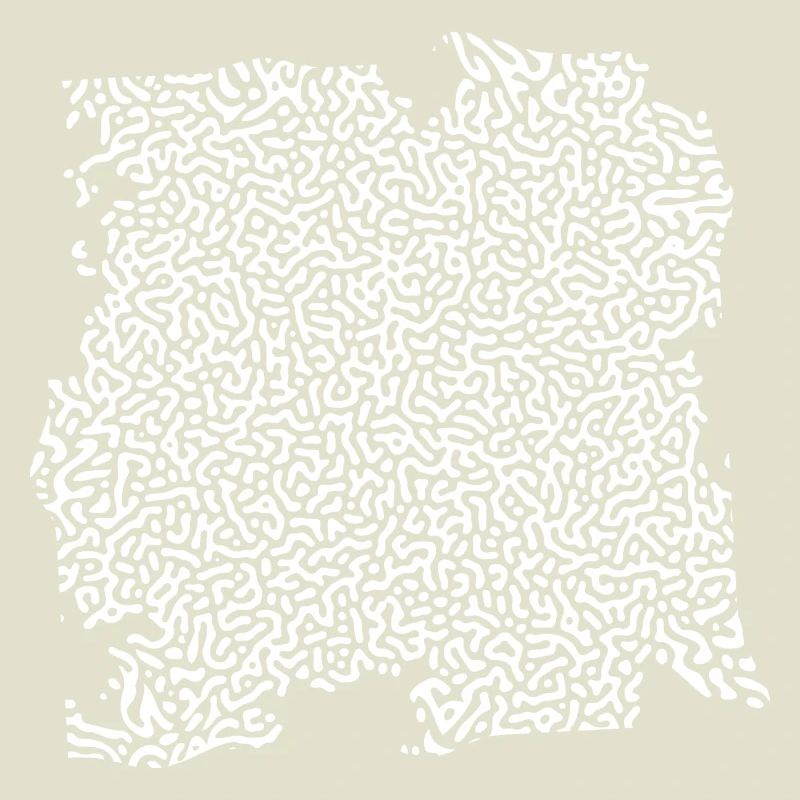Turing Pattern Blanc - Ver