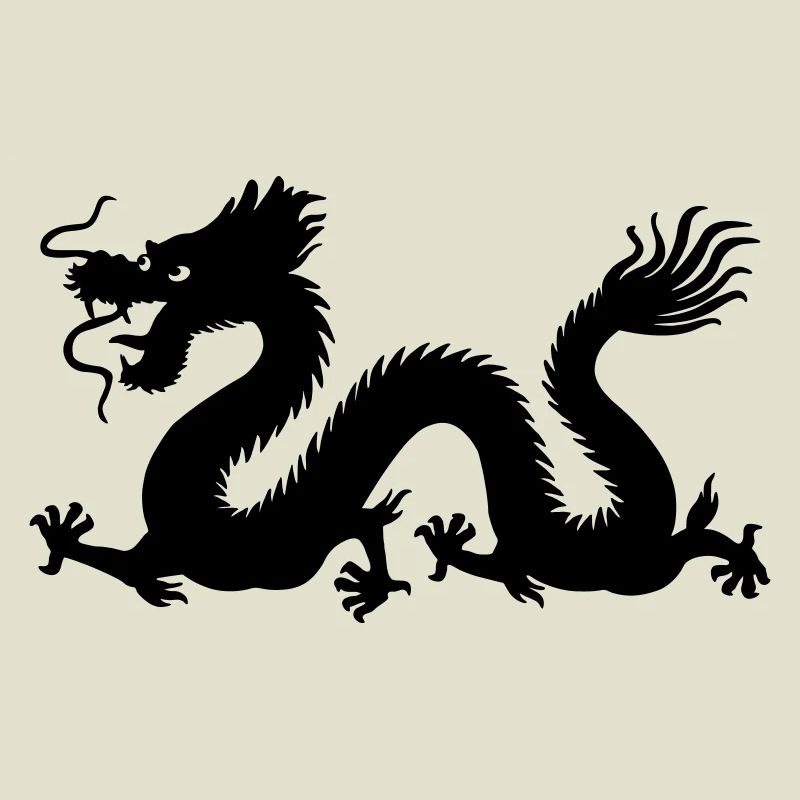 Image d’ombre de dragon année du dragon