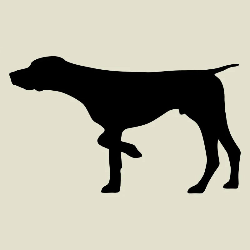 Jagdhund Deutsch Kurzhaar
