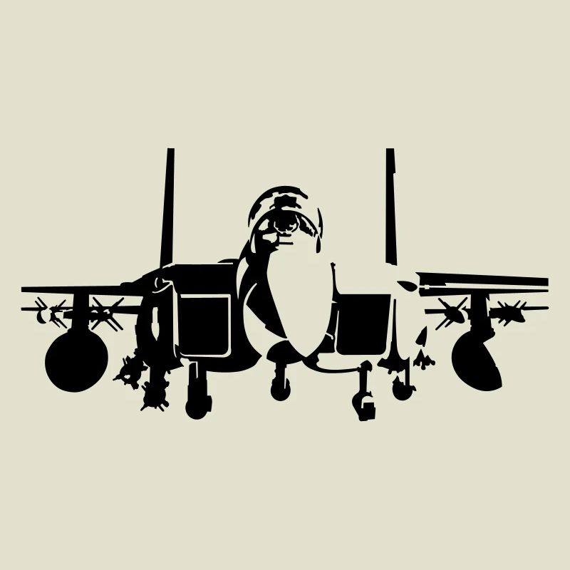 fighter F-15