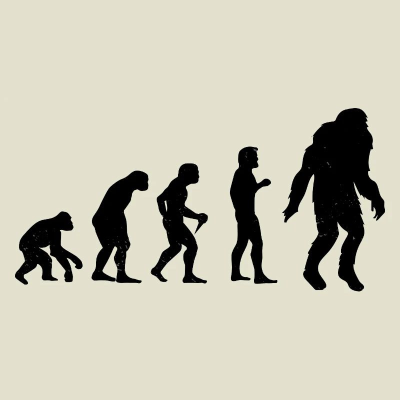Bigfoot Sasquatch Cache-cache Dictons