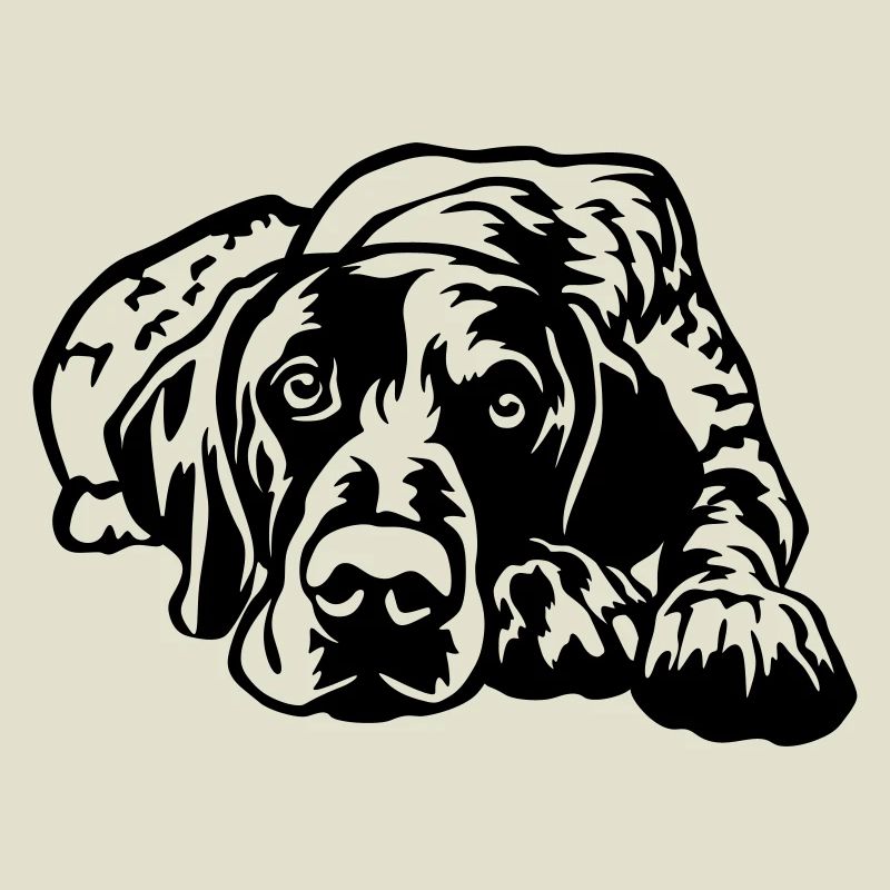 German Shorthaired Pointer