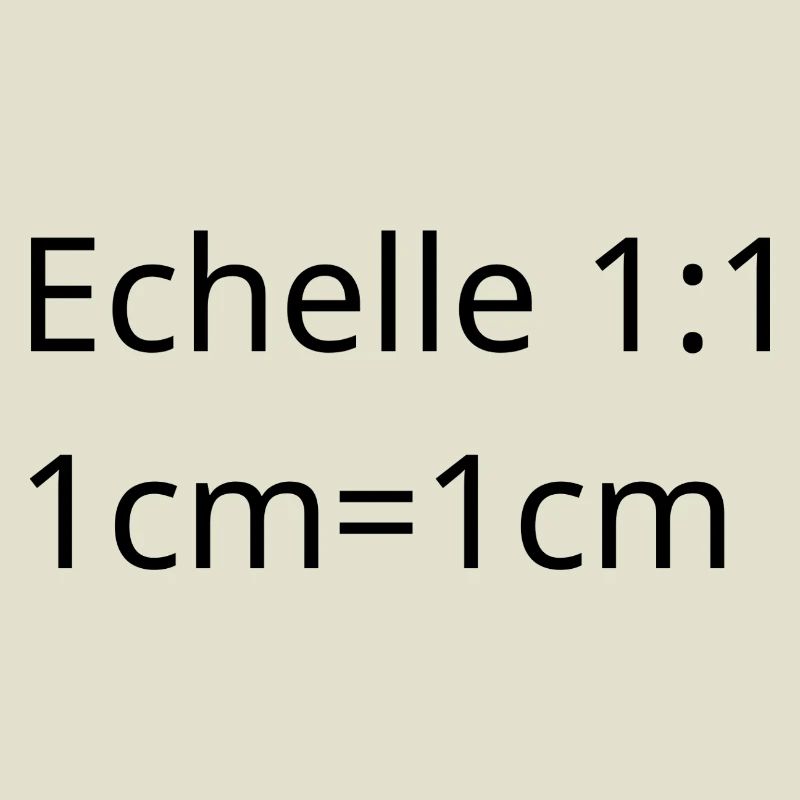 Architect, interior designer, project manager