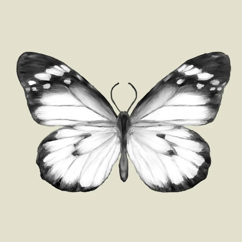 Papillon monochrome
